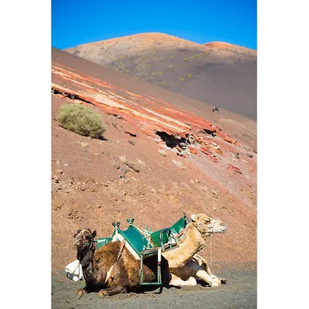 Caletas * Teguise (Lanzarote)